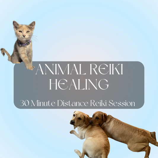 Animal Reiki Healing 30 Minute Distance Reiki Session