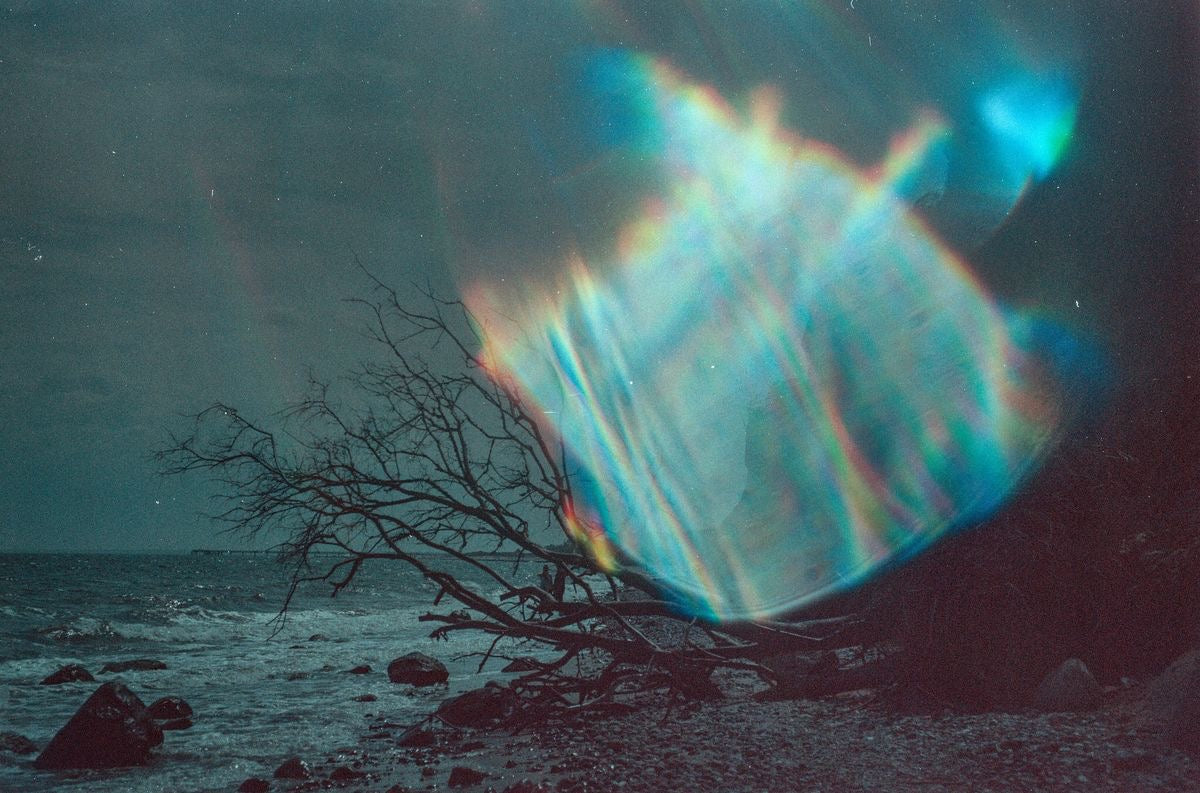 LS9/25 for magical_sunflower