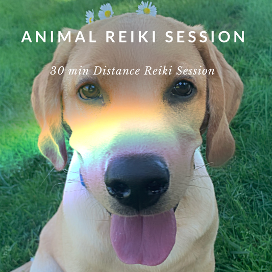 Animal Reiki Healing 30 Minute Distance Reiki Session